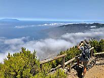 El Golfo and La Palma